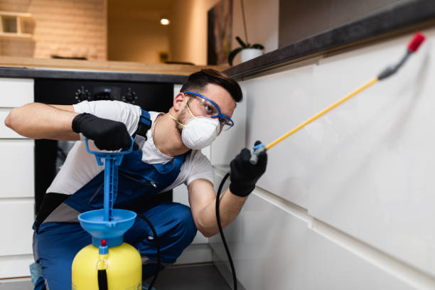 Best Rat Extermination Near Me  in Edmonston, MD