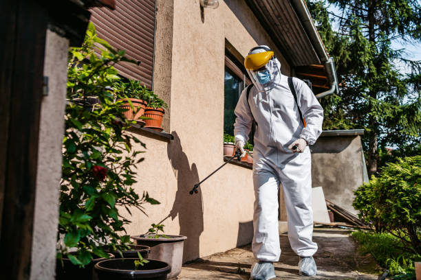 Best Insect Control  in Edmonston, MD