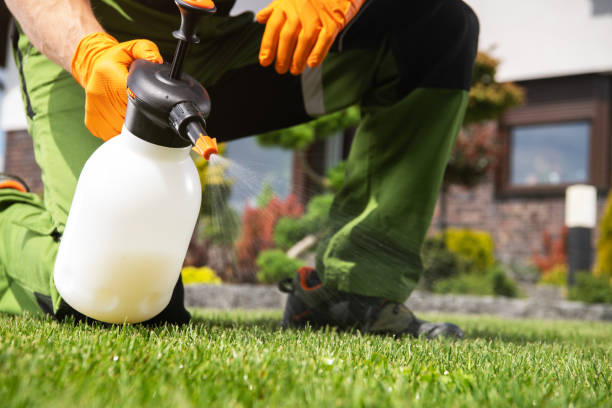 Best Exterminator Services  in Edmonston, MD