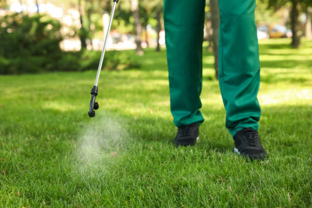 Best Flea Control Services  in Edmonston, MD