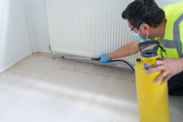 Best Pest Removal Services  in Edmonston, MD