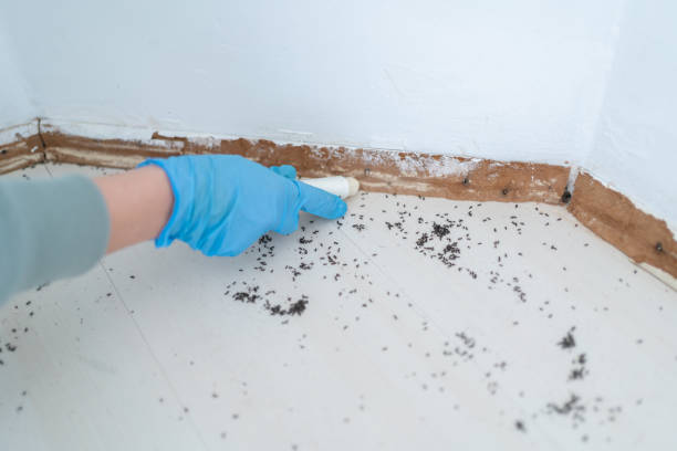 Best Wildlife Control Services  in Edmonston, MD
